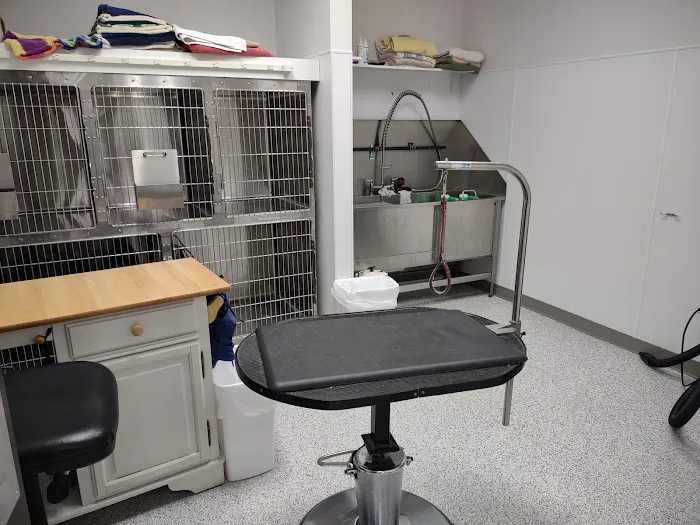 Yorkshire Animal Hospital Picture 3