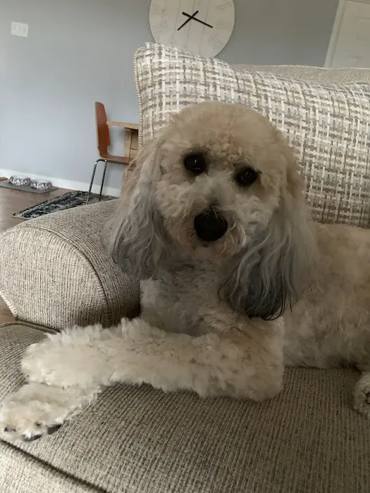 Yorkshire Animal Hospital Picture 6