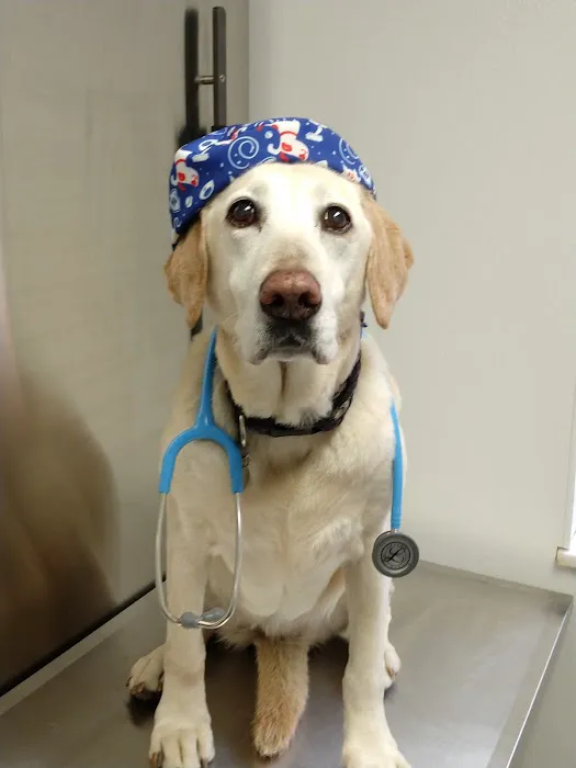 Yorkshire Animal Hospital Picture 8