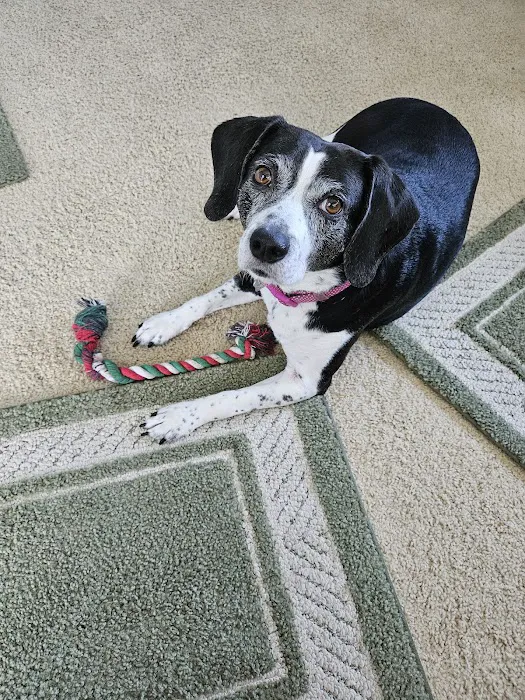 Yorkshire Animal Hospital Picture 9