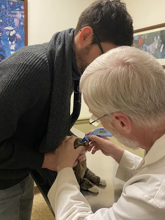 Animal Eye Associates Of St Louis- Kirkwood Picture 8