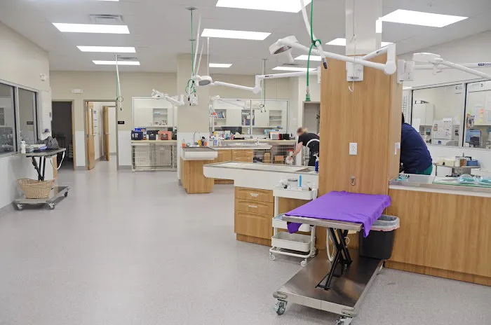 Clark Animal Hospital Picture 1