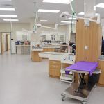 Clark Animal Hospital