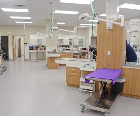 Clark Animal Hospital