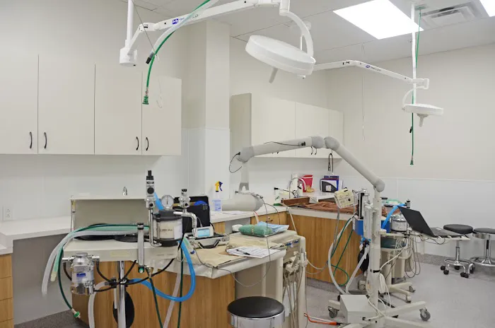 Clark Animal Hospital Picture 3