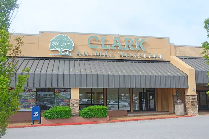 Clark Animal Hospital Picture 5