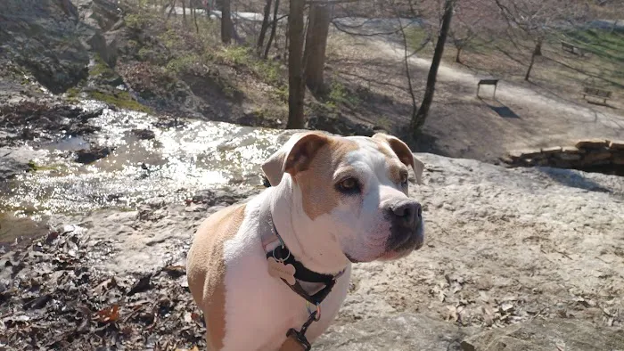 Clark Animal Hospital Picture 8