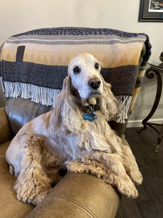 Clark Animal Hospital Picture 7