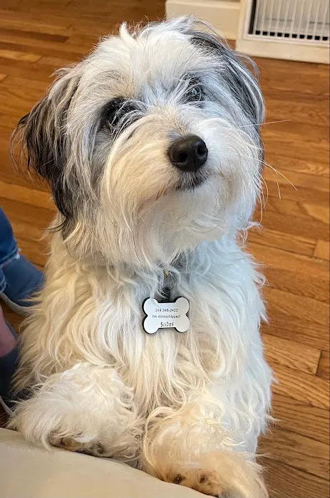 Clark Animal Hospital Picture 9