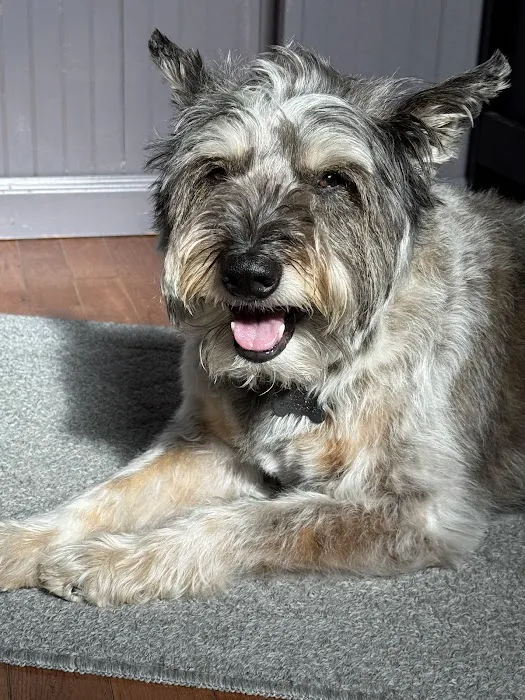 Clark Animal Hospital Picture 10