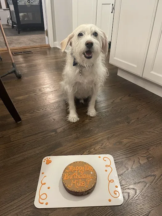 Kirkwood Animal Hospital Picture 6