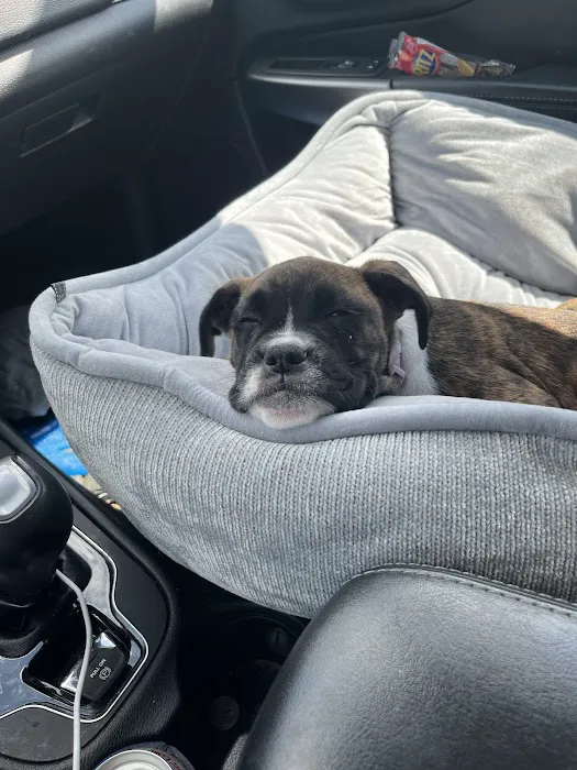 Veterinary Care Center- Urgent & Wellness Care Picture 2