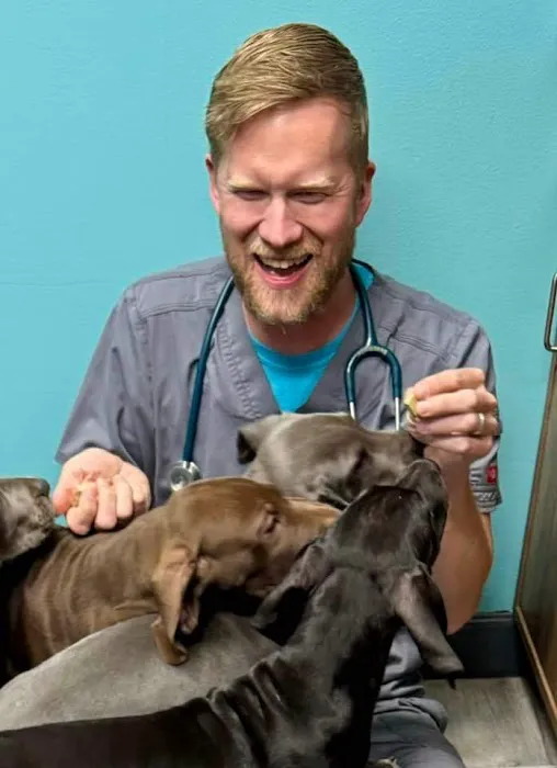 Veterinary Care Center- Urgent & Wellness Care Picture 3