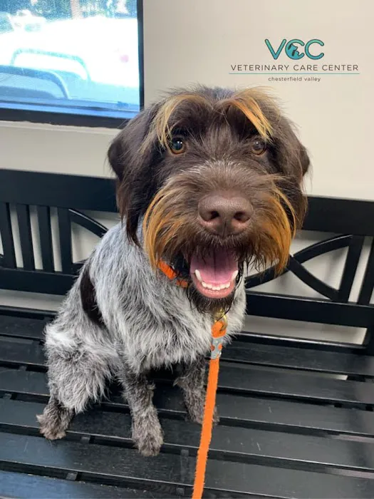 Veterinary Care Center- Urgent & Wellness Care Picture 9