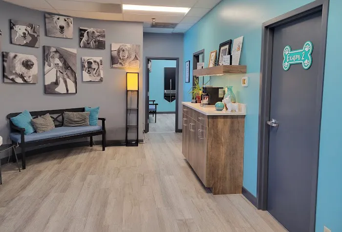 Veterinary Care Center- Urgent & Wellness Care Picture 8