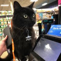 Banfield Pet Hospital ico