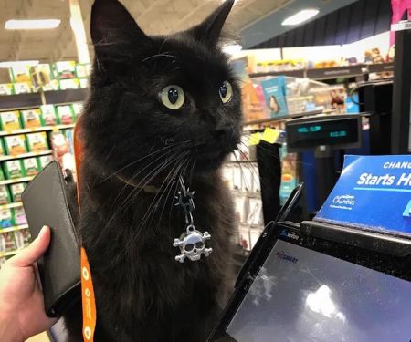 Banfield Pet Hospital