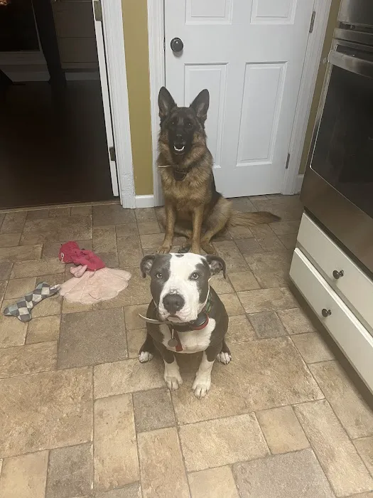 Banfield Pet Hospital Picture 4