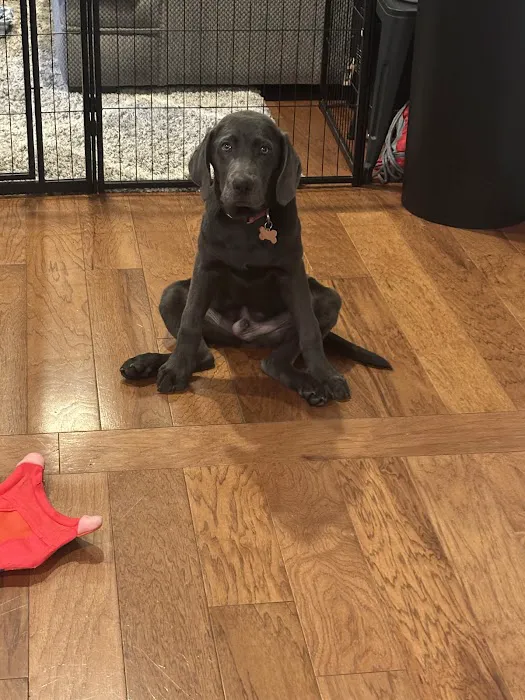 Banfield Pet Hospital Picture 8