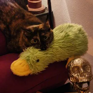 Banfield Pet Hospital Picture 9