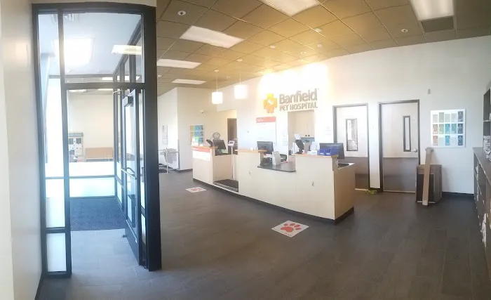 Banfield Pet Hospital Picture 6