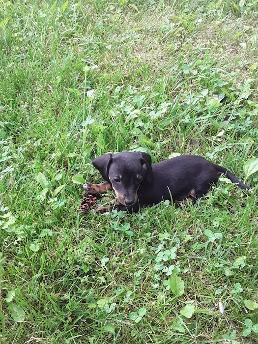 Banfield Pet Hospital Picture 2