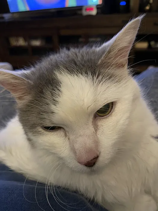 Banfield Pet Hospital Picture 1