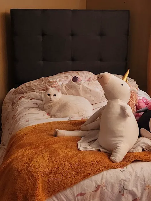 Banfield Pet Hospital Picture 7