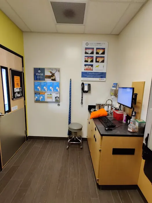 Banfield Pet Hospital Picture 5