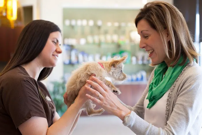 Town and Country Veterinary Hospital Picture 2