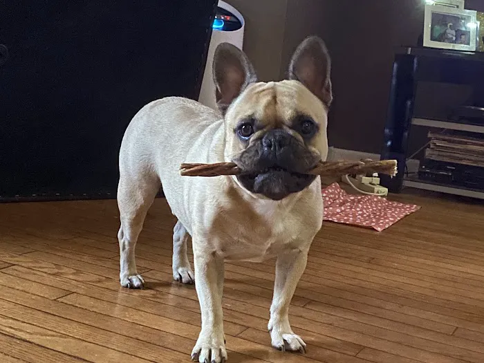 Town and Country Veterinary Hospital Picture 1