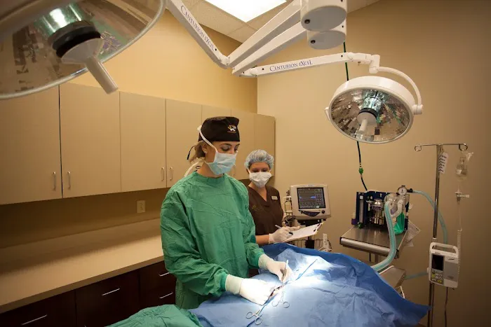 Town and Country Veterinary Hospital Picture 3