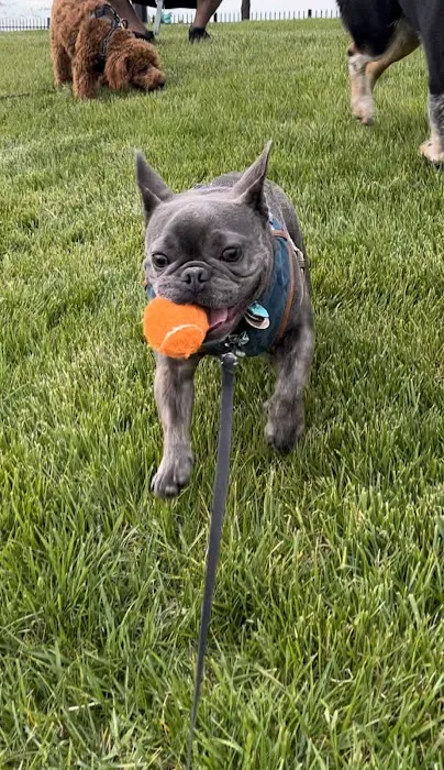 Town and Country Veterinary Hospital Picture 7