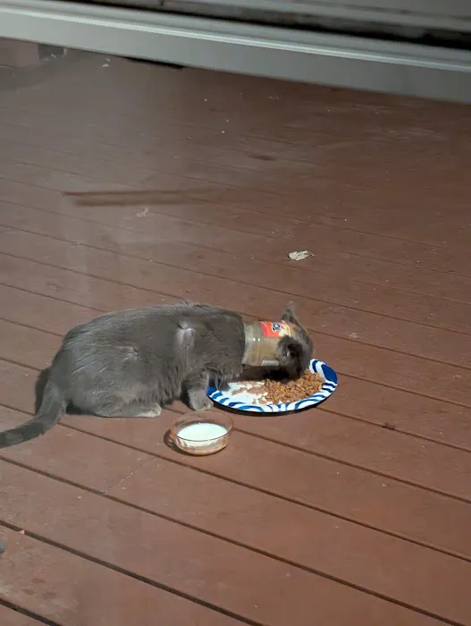 Veterinary Emergency Group Picture 4