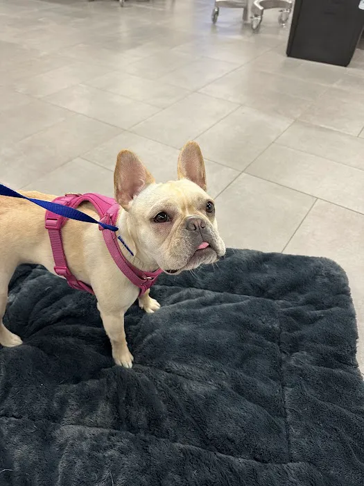 Veterinary Emergency Group Picture 3