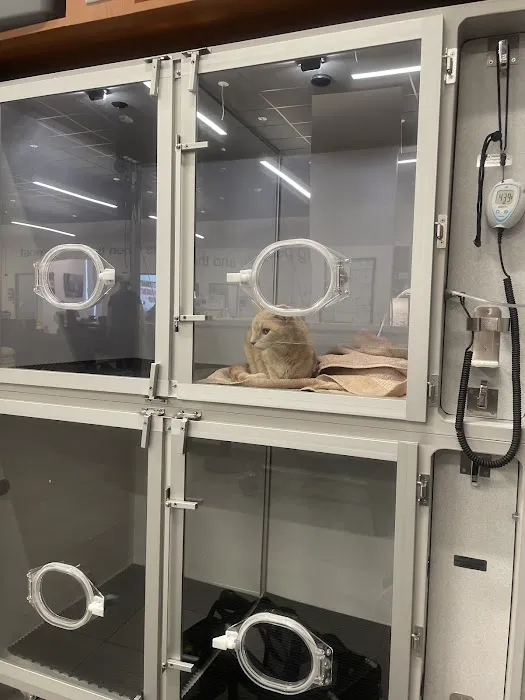 Veterinary Emergency Group Picture 6