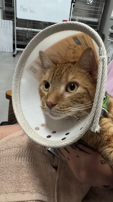 Veterinary Emergency Group Picture 5