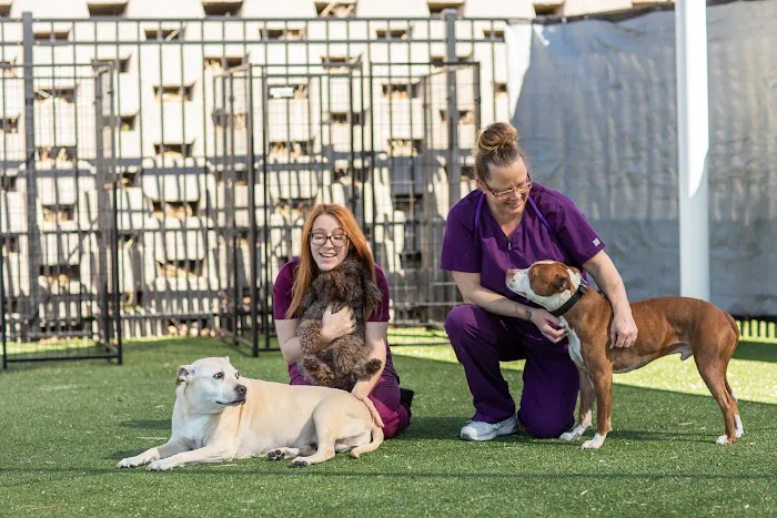 Vet Stop Animal Hospital Picture 1