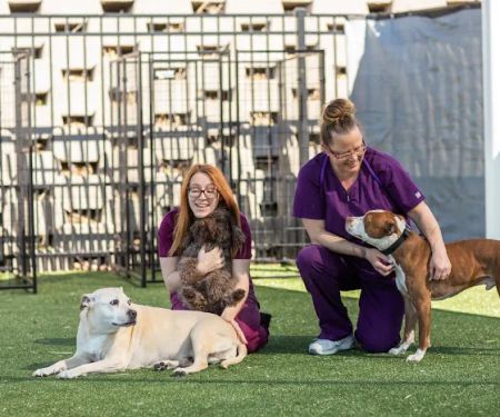 Vet Stop Animal Hospital