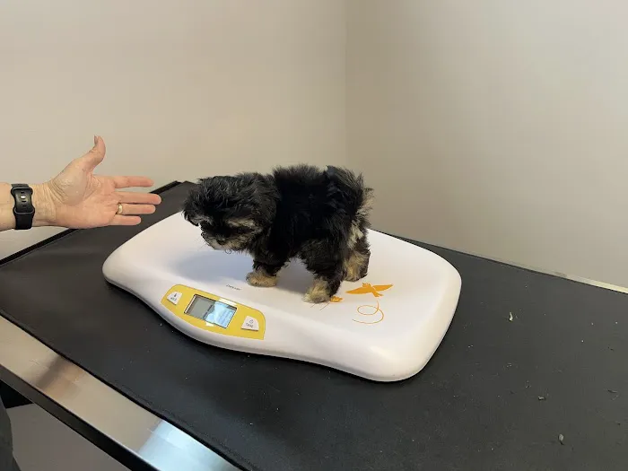 Vet Stop Animal Hospital Picture 5