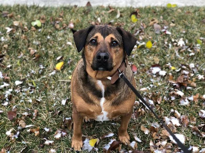 Vet Stop Animal Hospital Picture 4