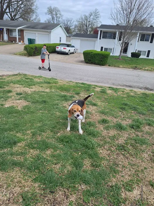 Vet Stop Animal Hospital Picture 3