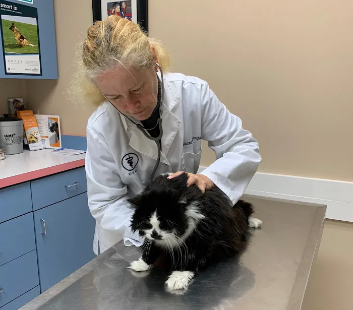 Vet Stop Animal Hospital Picture 7