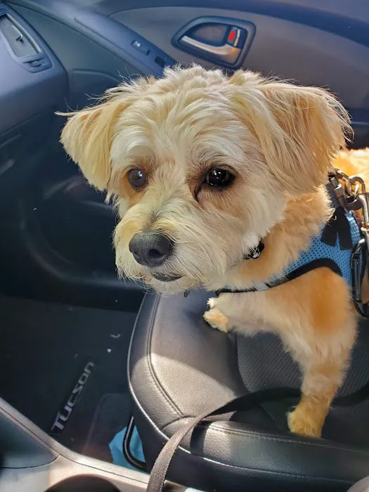 Vet Stop Animal Hospital Picture 6