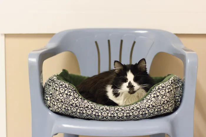 Vet Stop Animal Hospital Picture 10