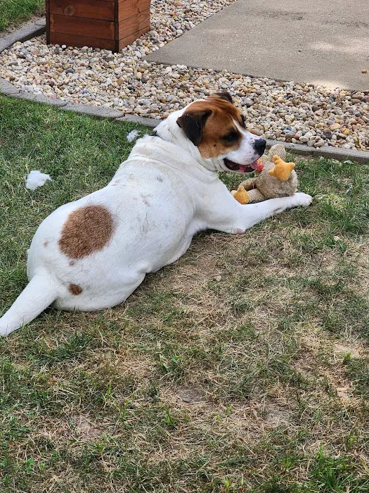 Cooper's Veterinary Care Picture 1