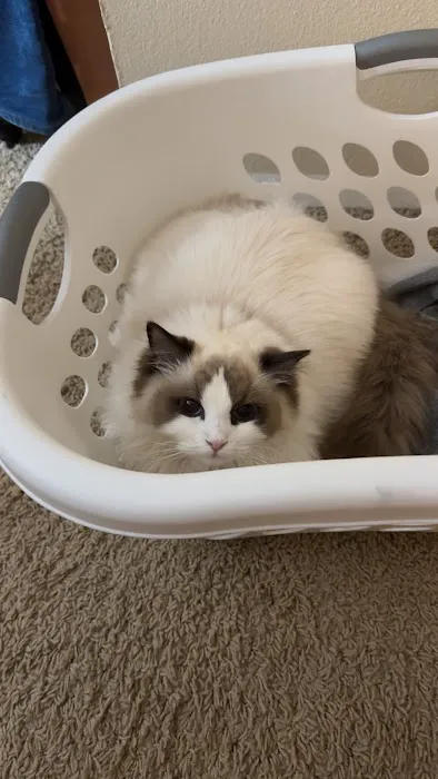 Cooper's Veterinary Care Picture 4