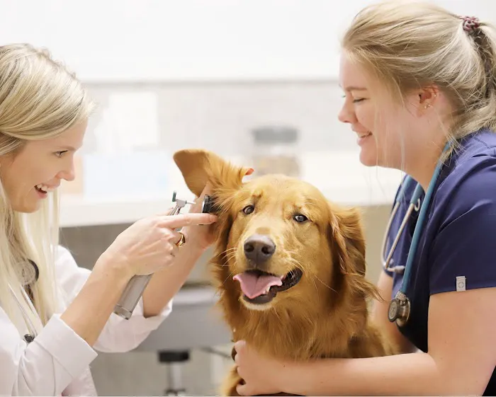 Pet Health Center Picture 3