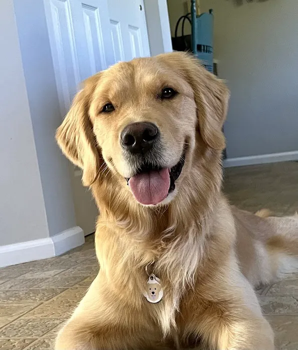 Pet Health Center Picture 1