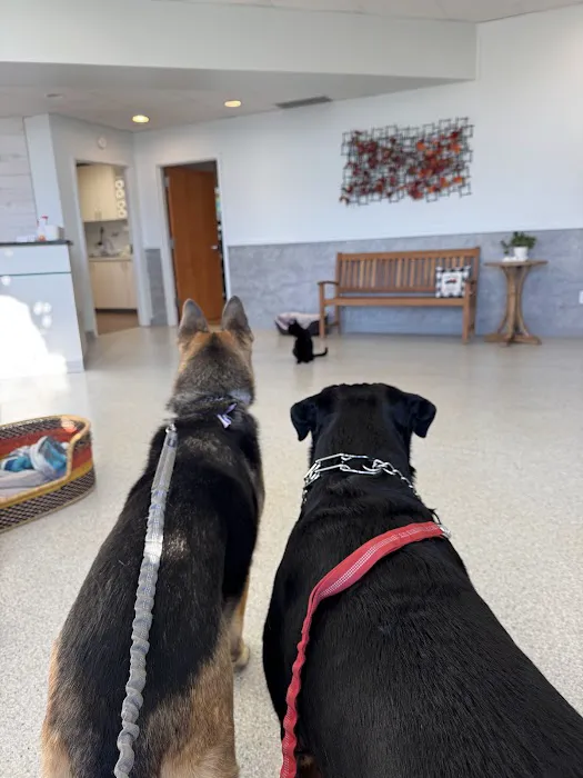 Pet Health Center Picture 9